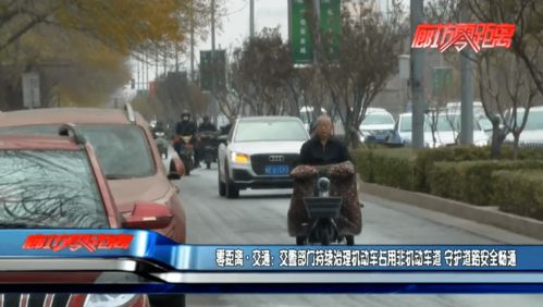 交警严管与源头治理双管齐下，守护道路安全畅通
