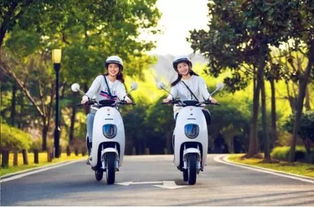 4月15日后电动车、三轮车上牌指南 你最关心的问题都在这